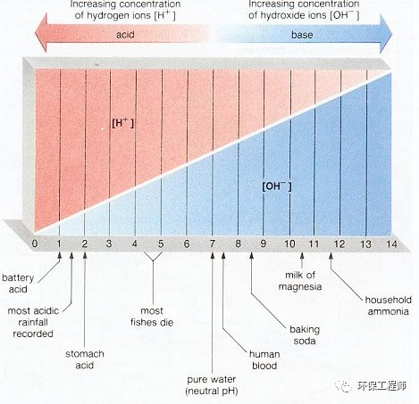 活性污泥为什么是带负电荷的？